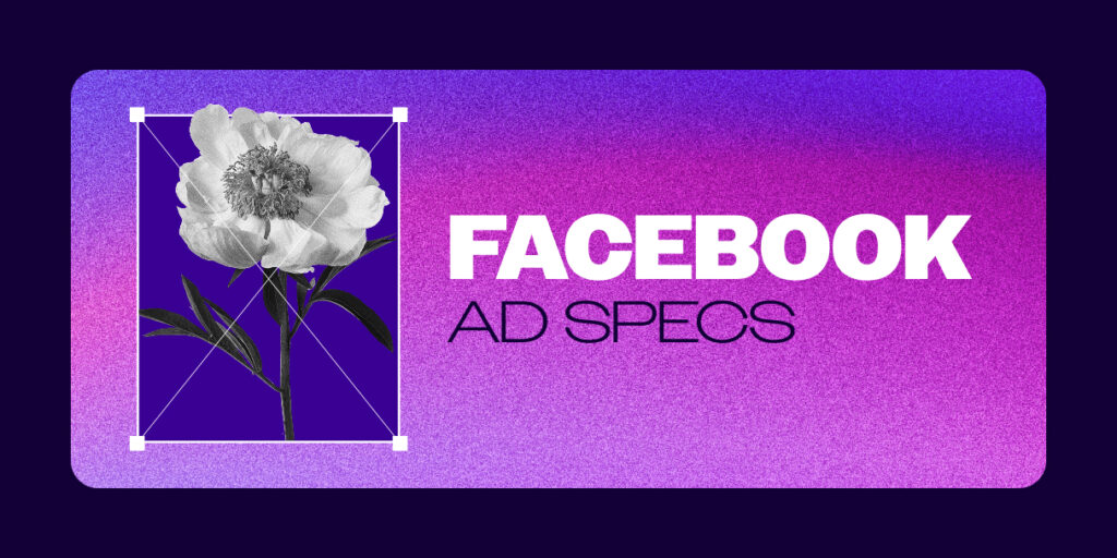 a single flower in a frame alongside the words facebook ad specs